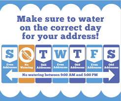 Recommended Watering Schedule