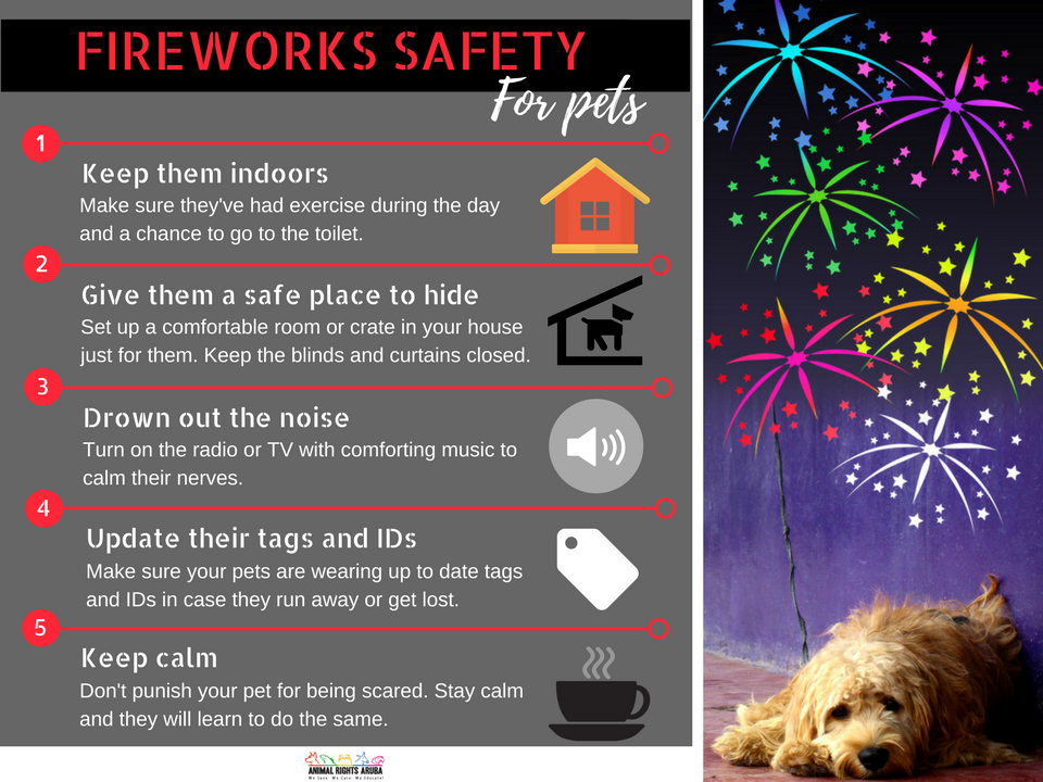 Fireworks Safety