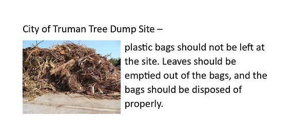 City of Truman Tree Dump Site