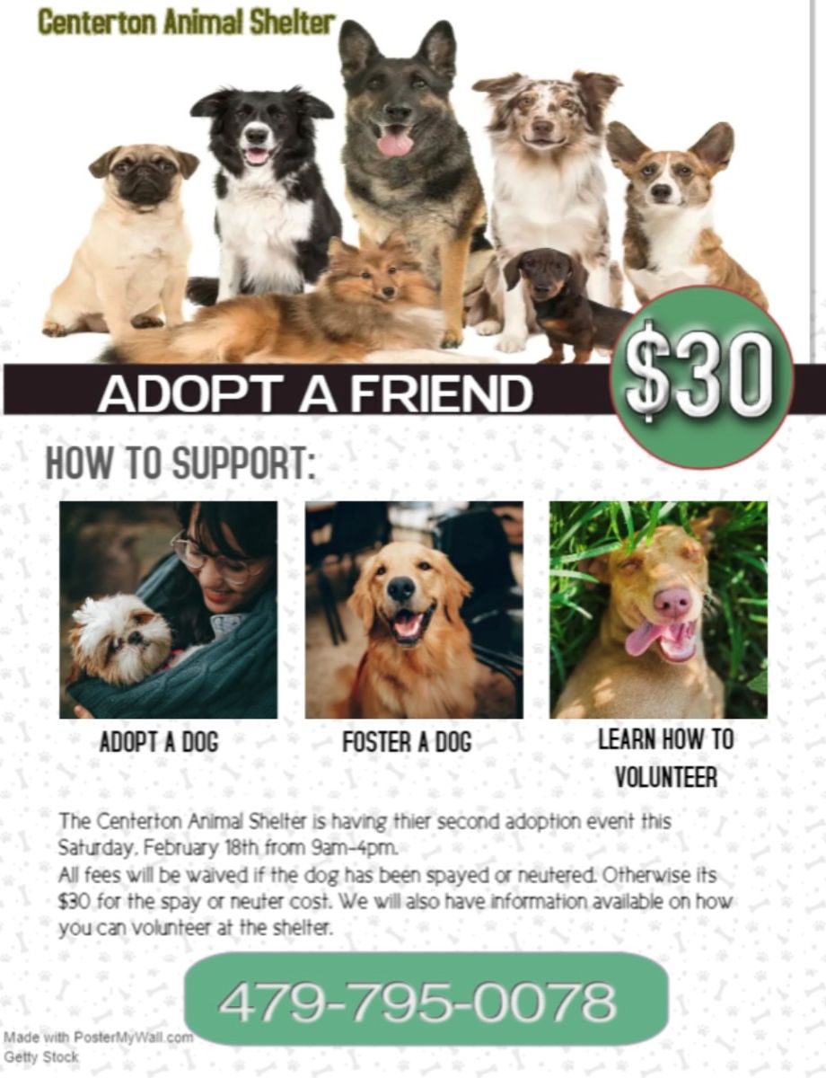Animal Shelter Adoption Event