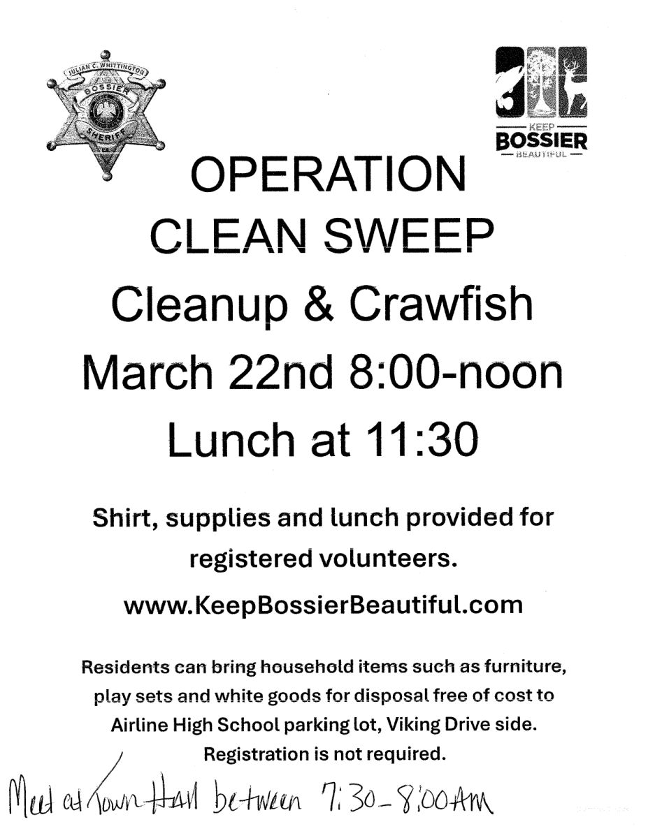 Image of Flyer for Town volunteer clean up