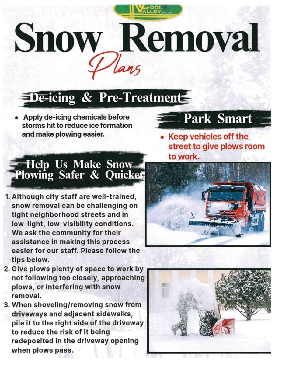 Snow Removal flyer