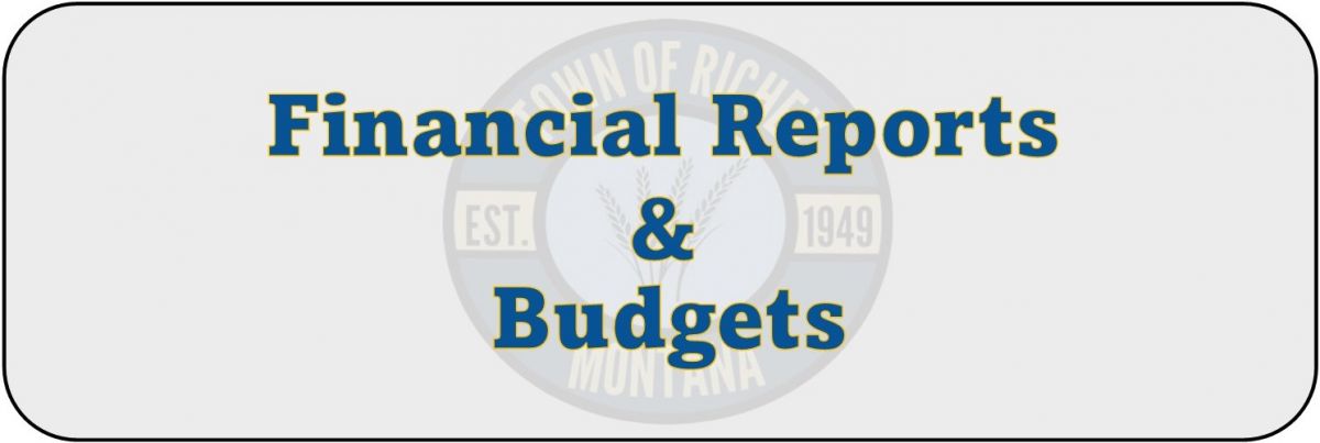 Financial Reports & Budgets