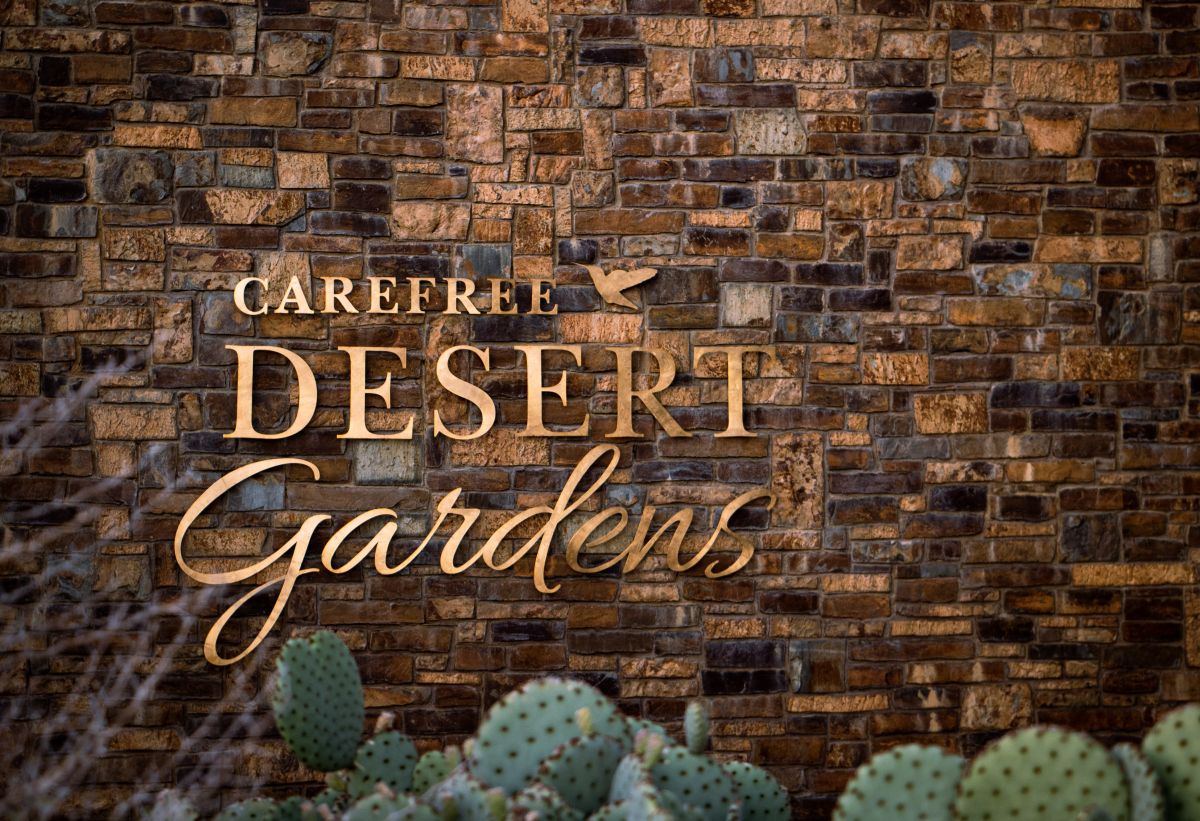 Desert Gardens by Mike Nally