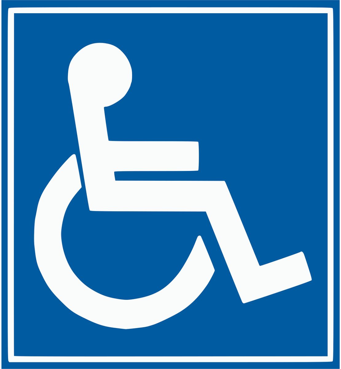 handicap logo 