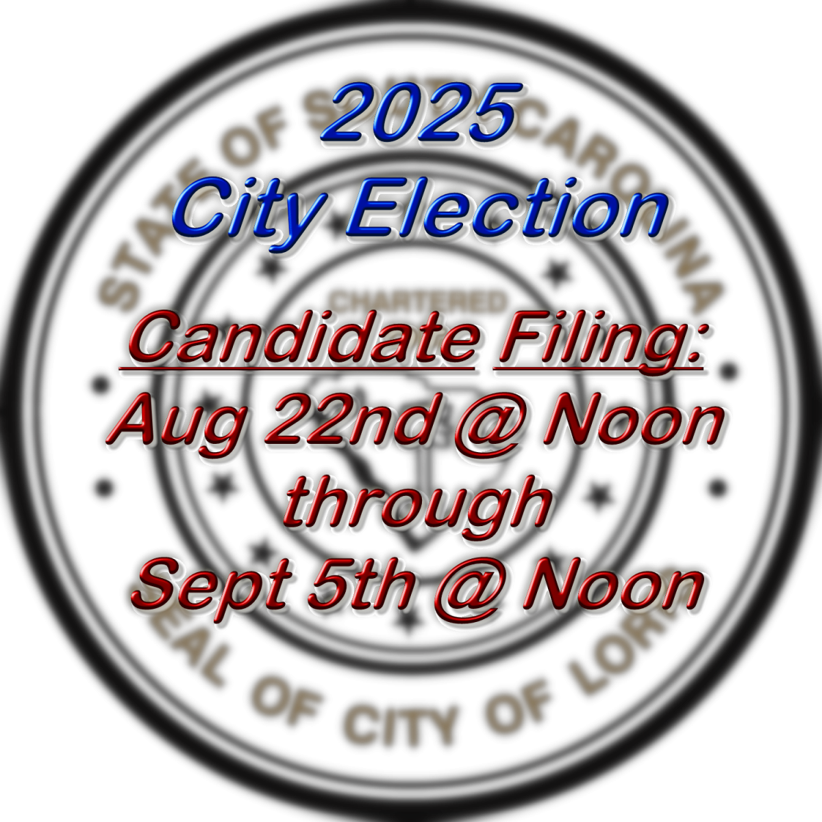 2025 City Elections