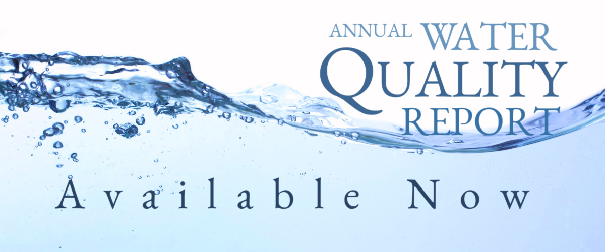 Annual Water Report